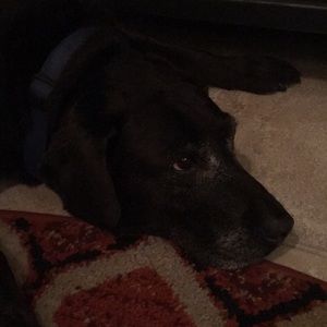 Meet your Posher, Sharon